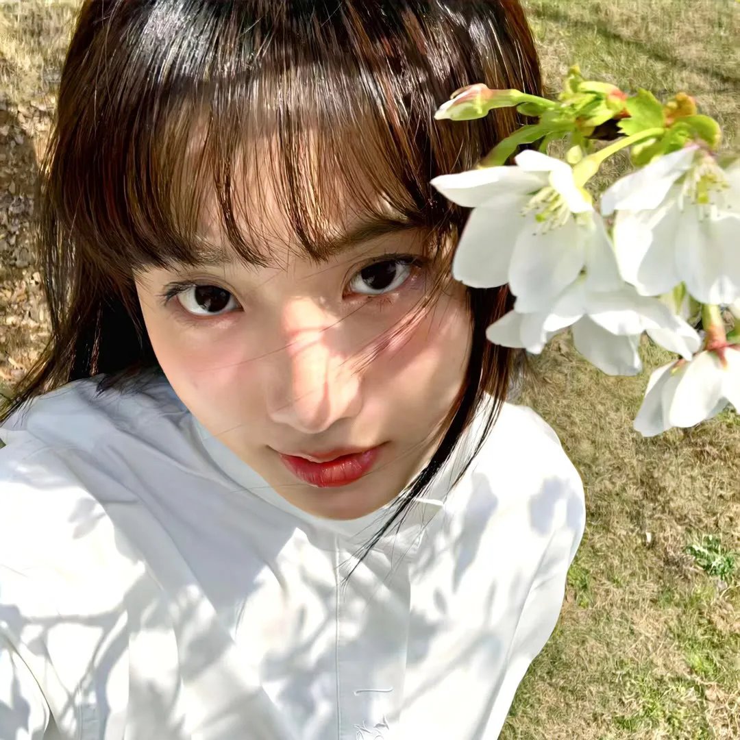 金鱼妈妈